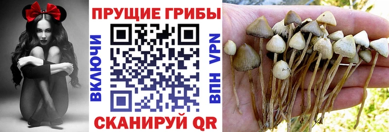 Псилоцибиновые грибы мицелий  Купить где  Лесозаводск 